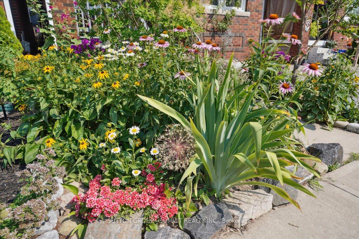 Photo 7 of 138 Cope Street, Hamilton, Homeside — HOMEH
