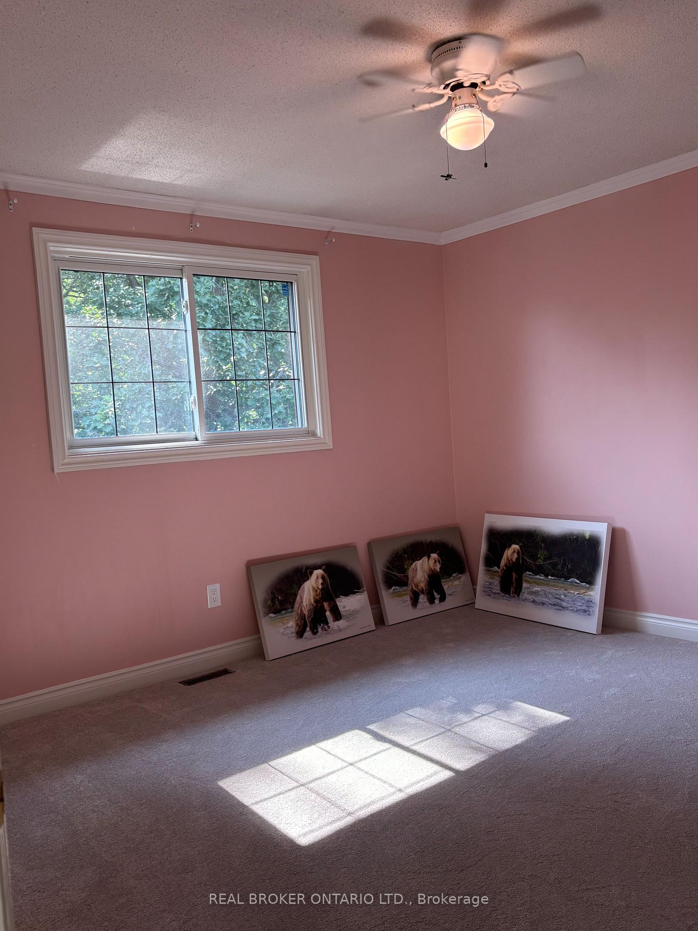 Photo 25 of 64 Flamingo Drive, Hamilton, Bruleville — HOMEH