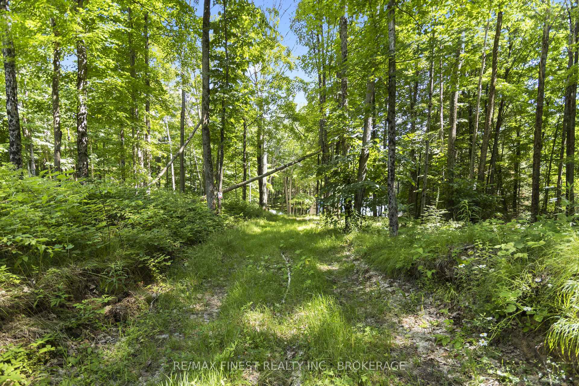 Front of LOT 14 -15 0 Thunder Lane