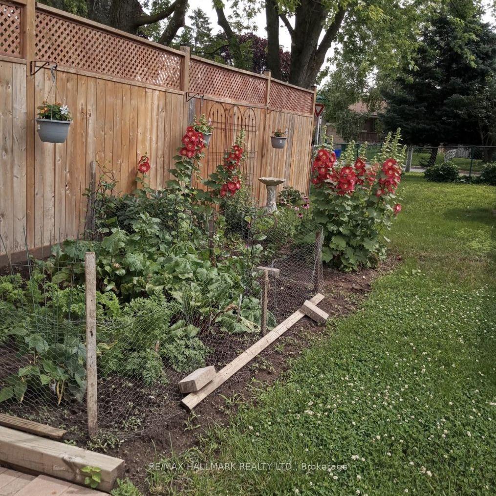 Photo 24 of 145 Clements Road E, Ajax, South East — HOMEH