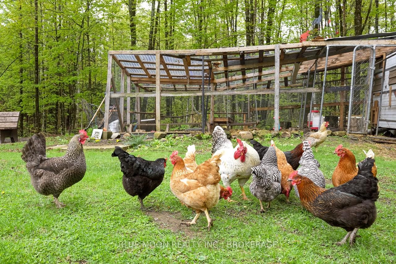Photo 34 of 1108 South Road, Frontenac, Frontenac North — HOMEH