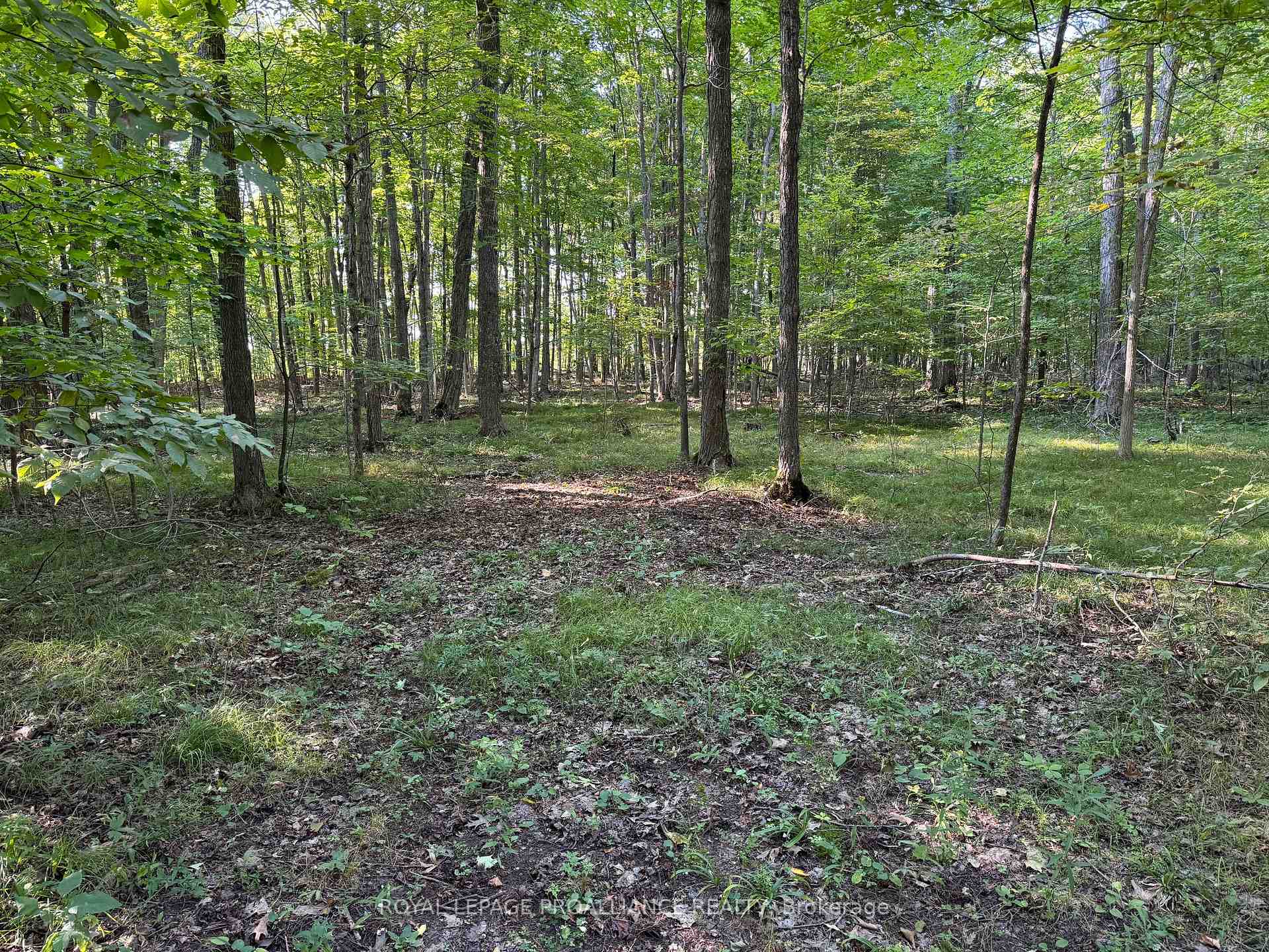 Photo 3 of PT LT 3 Everett Lane, Frontenac, Frontenac South — HOMEH