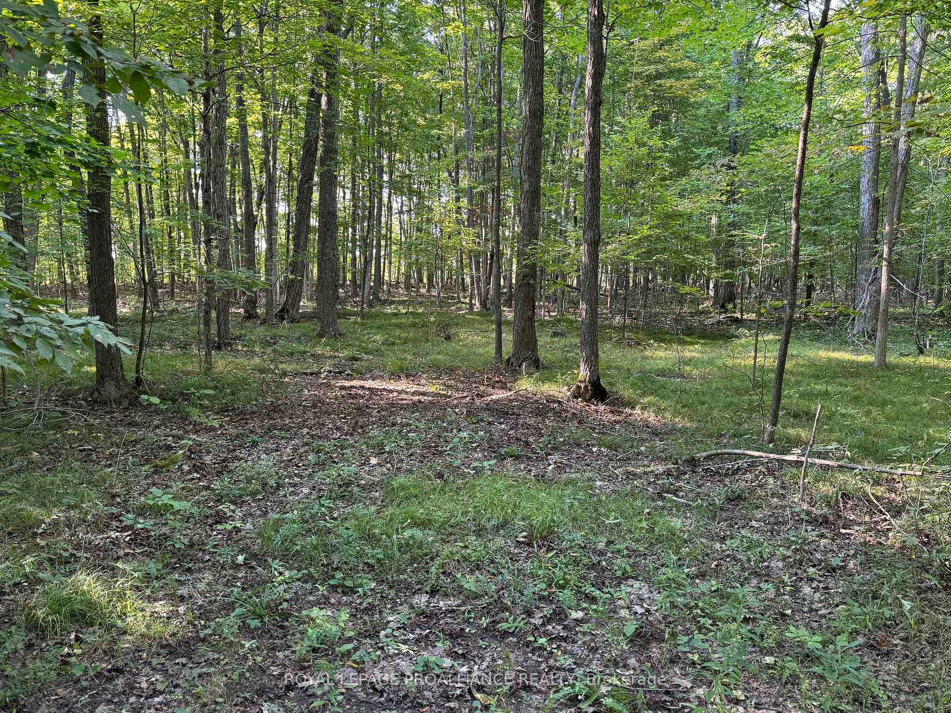 Photo 13 of PT LT 3 Everett Lane, Frontenac, Frontenac South — HOMEH
