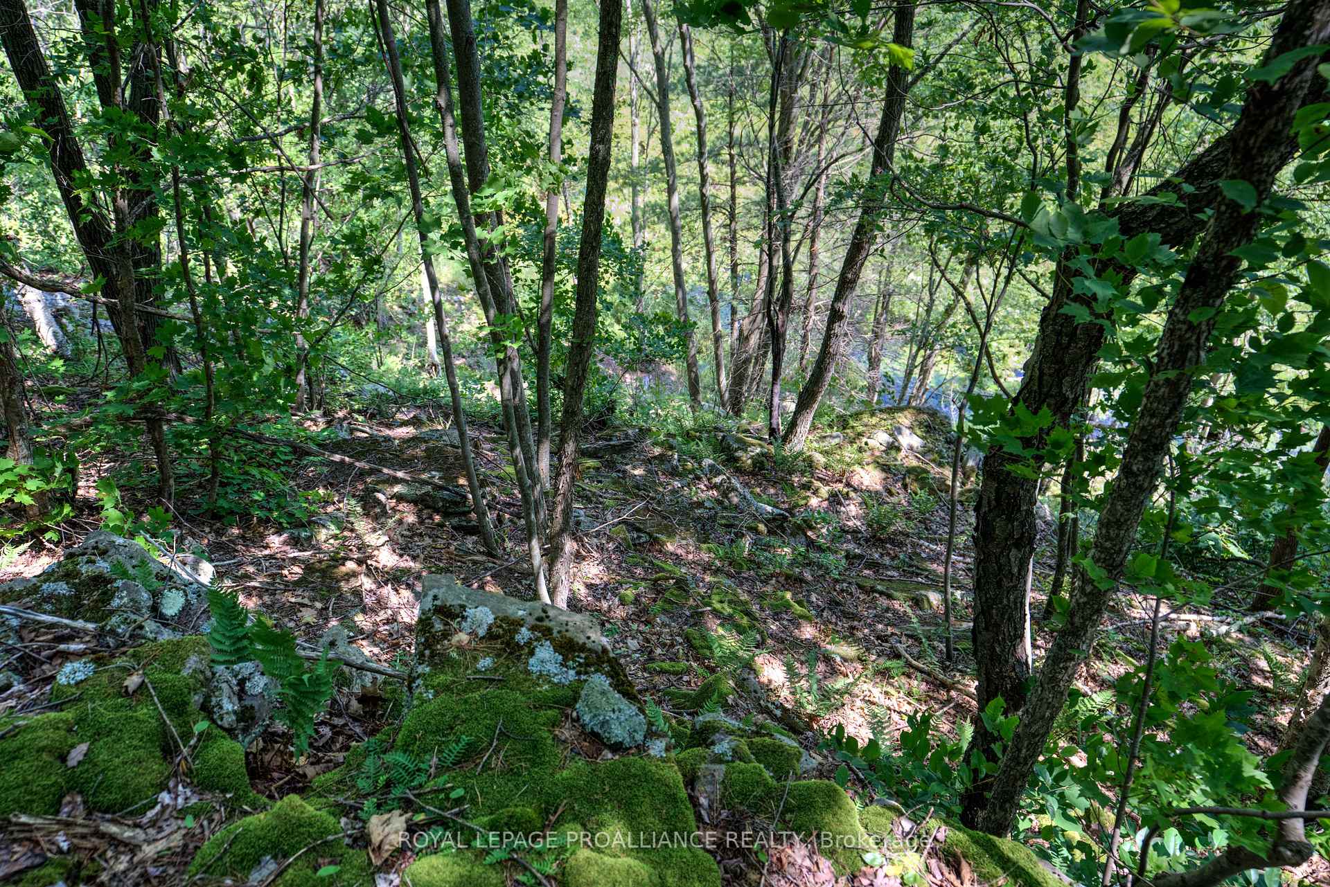 Photo 20 of PTLT3 McConville Lane, Frontenac, Frontenac South — HOMEH