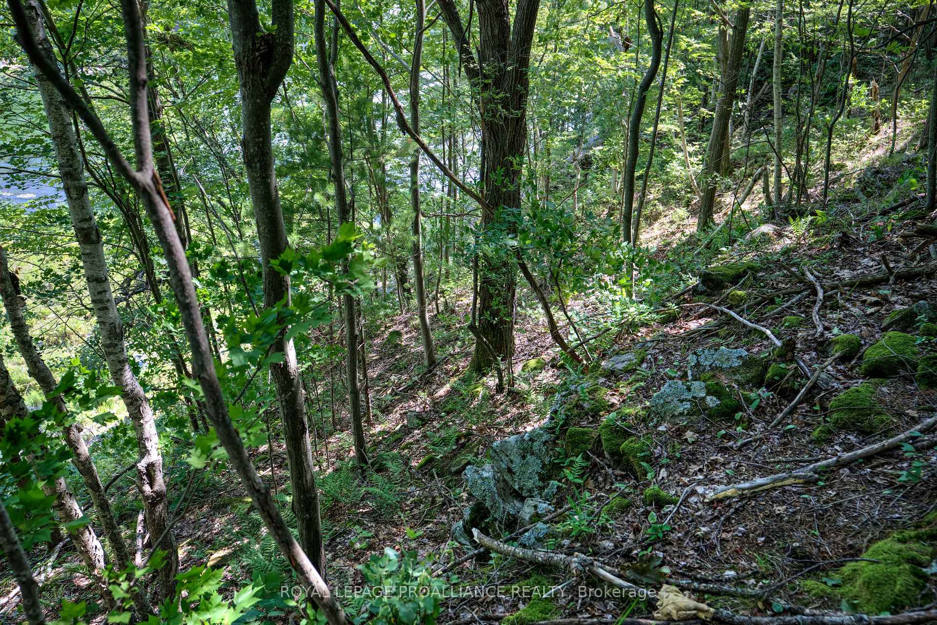 Photo 21 of PTLT3 McConville Lane, Frontenac, Frontenac South — HOMEH