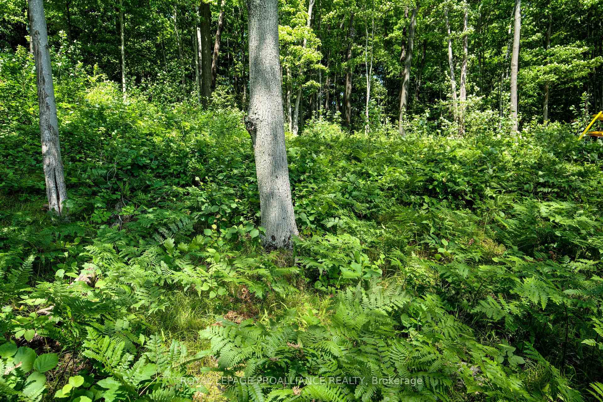 Photo 23 of PTLT3 McConville Lane, Frontenac, Frontenac South — HOMEH