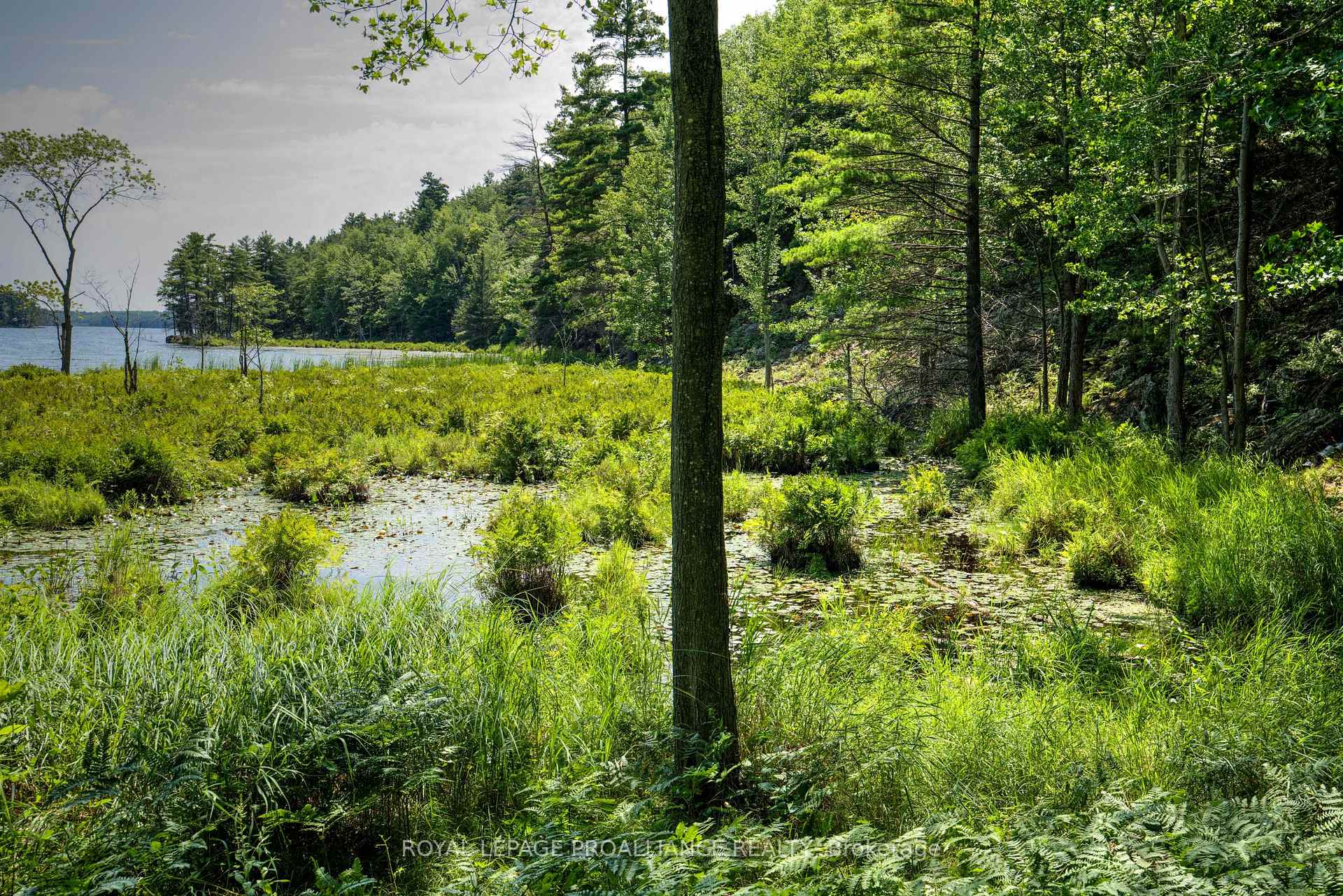 Photo 24 of PTLT3 McConville Lane, Frontenac, Frontenac South — HOMEH