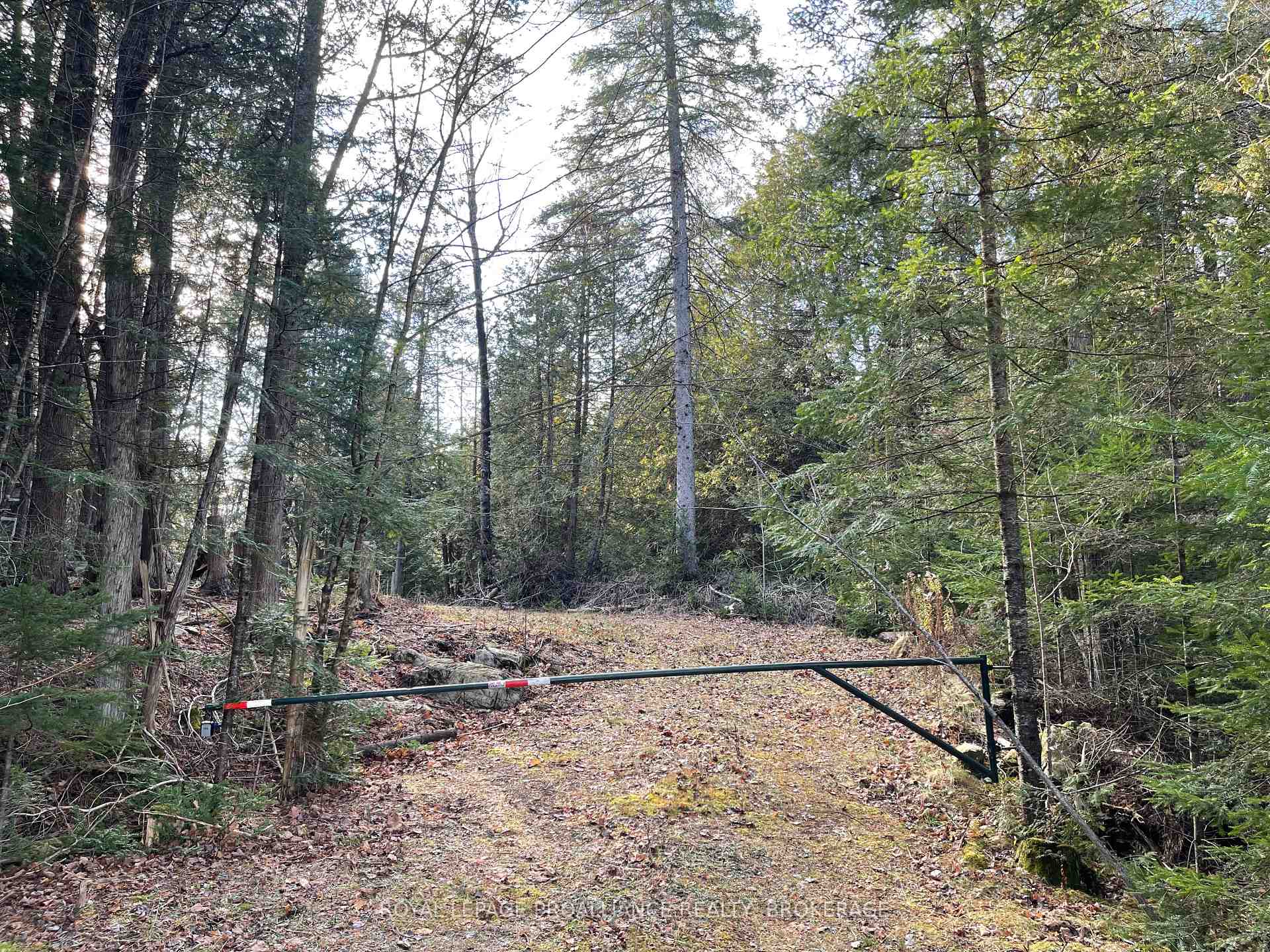 Photo 2 of 1518 Wintergreen Road, Frontenac, Frontenac North — HOMEH