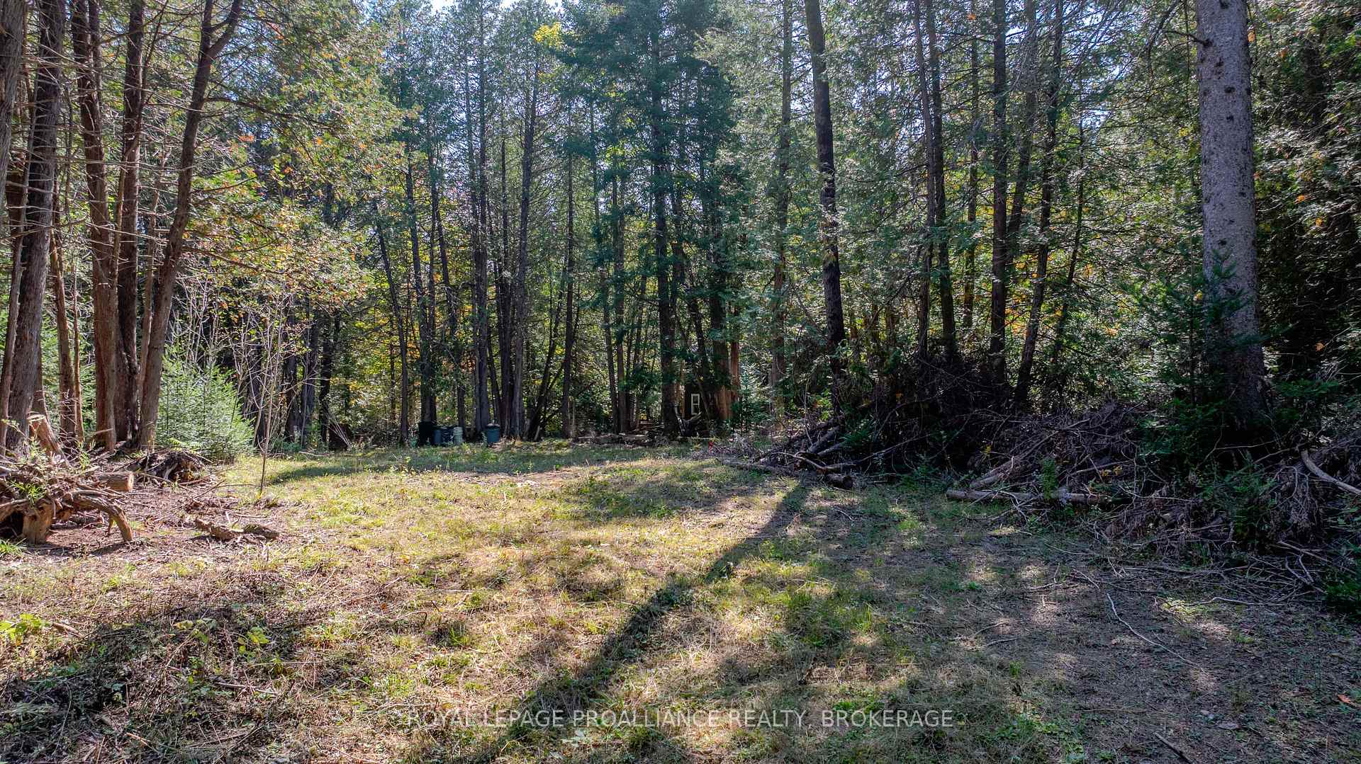 Photo 3 of 1518 Wintergreen Road, Frontenac, Frontenac North — HOMEH