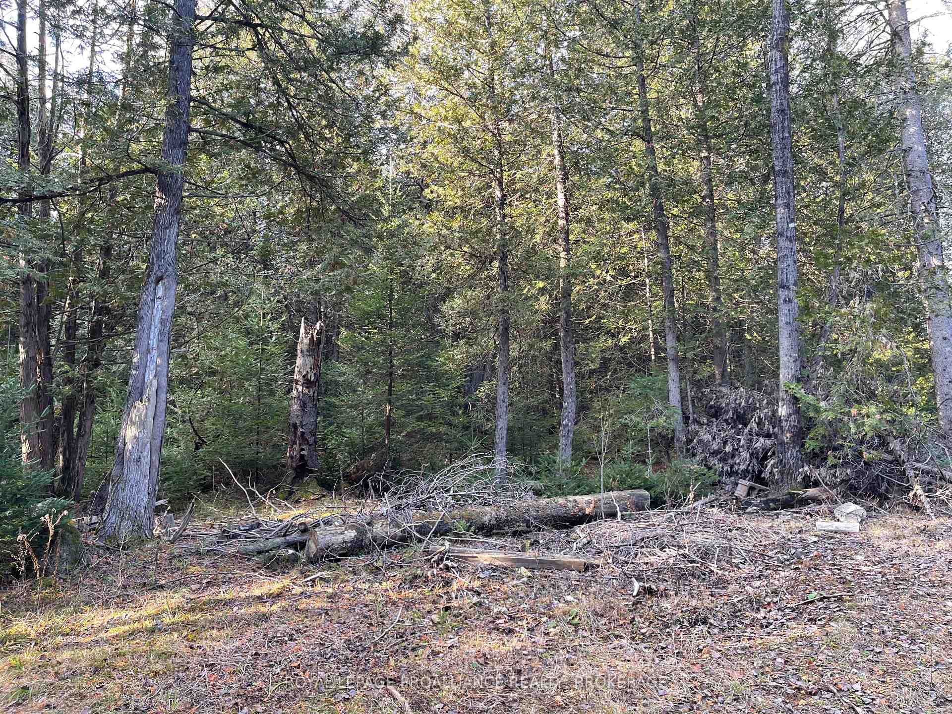 Photo 4 of 1518 Wintergreen Road, Frontenac, Frontenac North — HOMEH