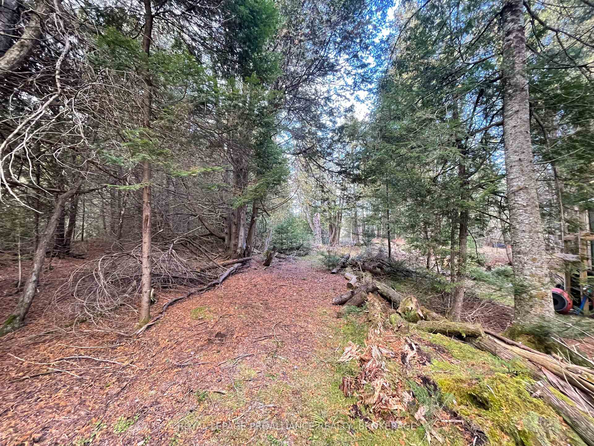 Photo 5 of 1518 Wintergreen Road, Frontenac, Frontenac North — HOMEH