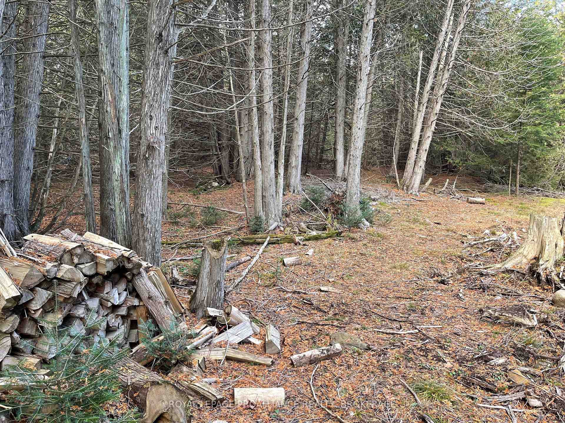 Photo 7 of 1518 Wintergreen Road, Frontenac, Frontenac North — HOMEH