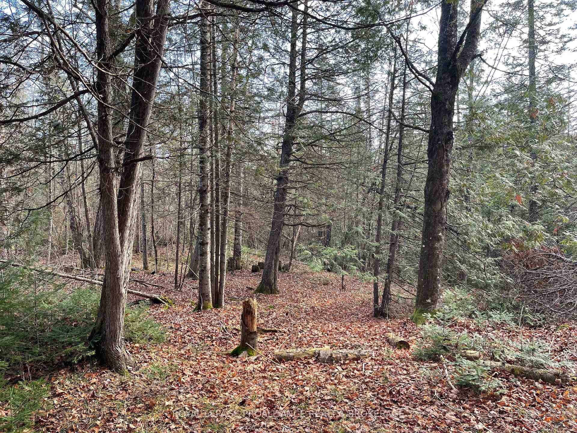 Photo 8 of 1518 Wintergreen Road, Frontenac, Frontenac North — HOMEH