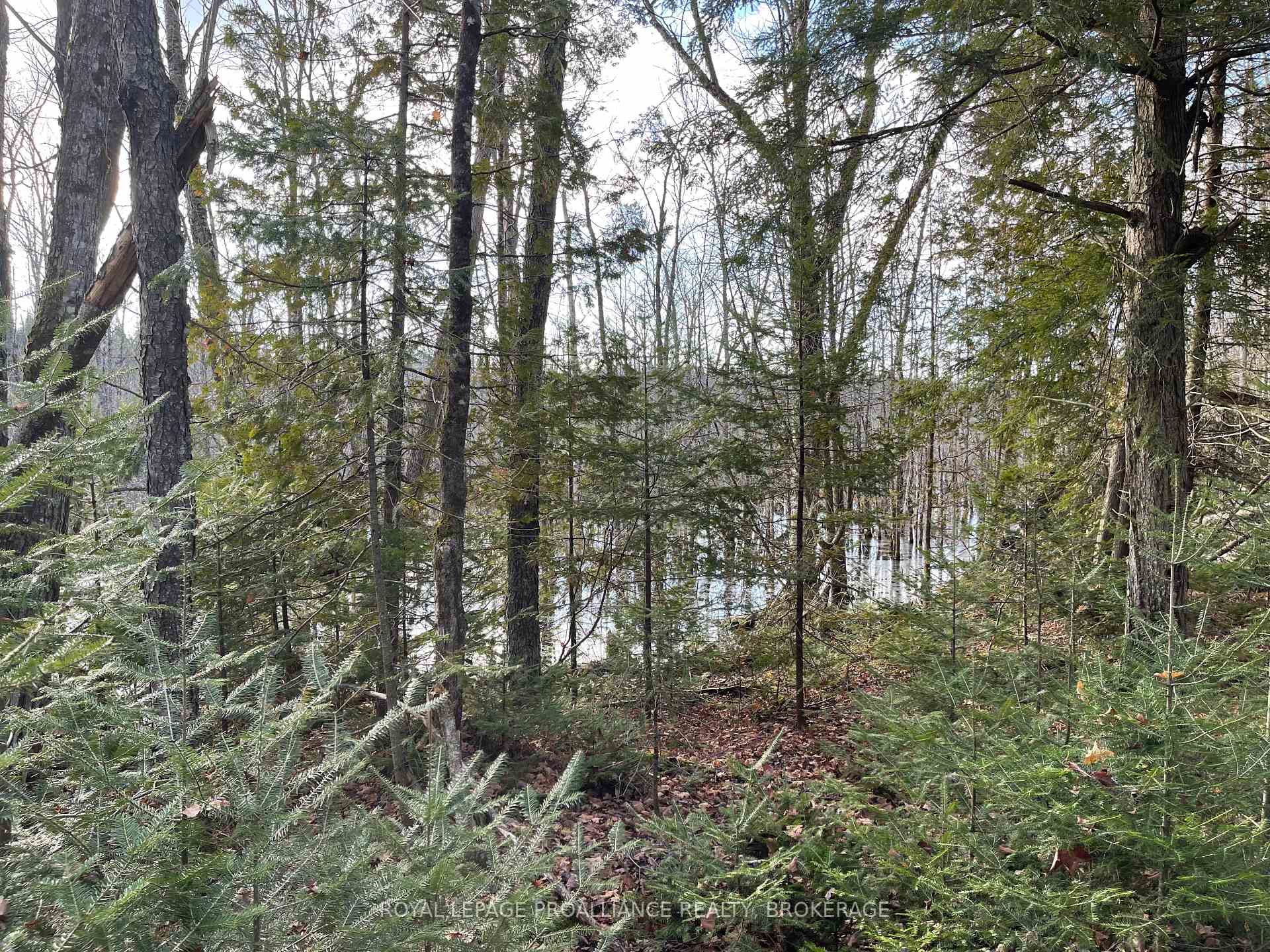 Photo 13 of 1518 Wintergreen Road, Frontenac, Frontenac North — HOMEH