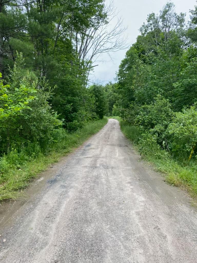Photo 4 of Unit Lot # 1, 4232 Ardoch Road, Frontenac, Frontenac North — HOMEH