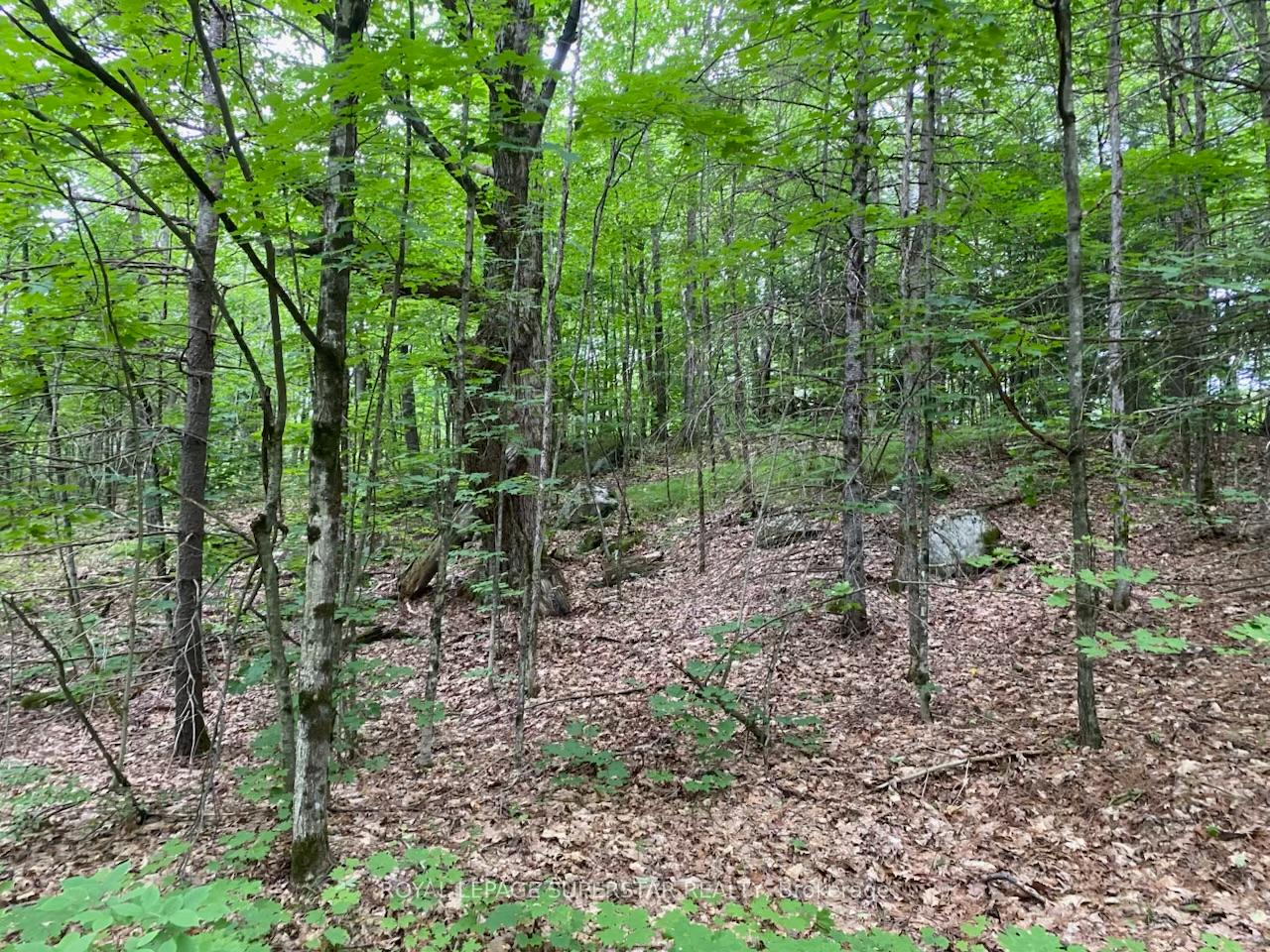 Photo 5 of Unit Lot # 1, 4232 Ardoch Road, Frontenac, Frontenac North — HOMEH