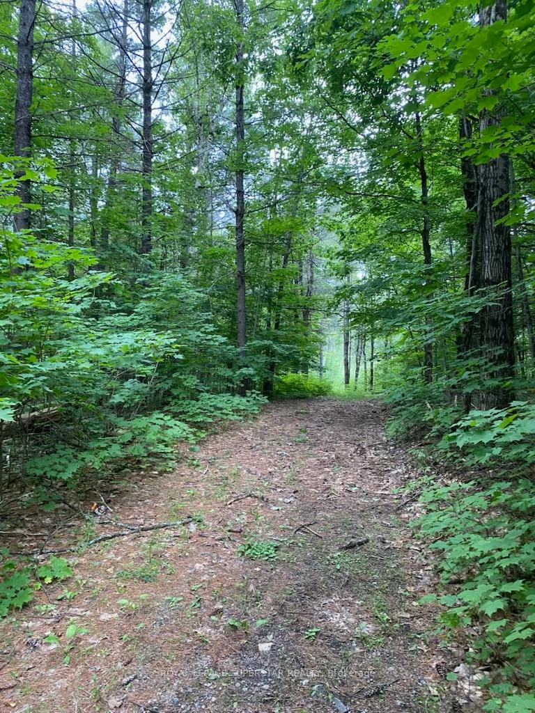 Photo 7 of Unit Lot # 1, 4232 Ardoch Road, Frontenac, Frontenac North — HOMEH