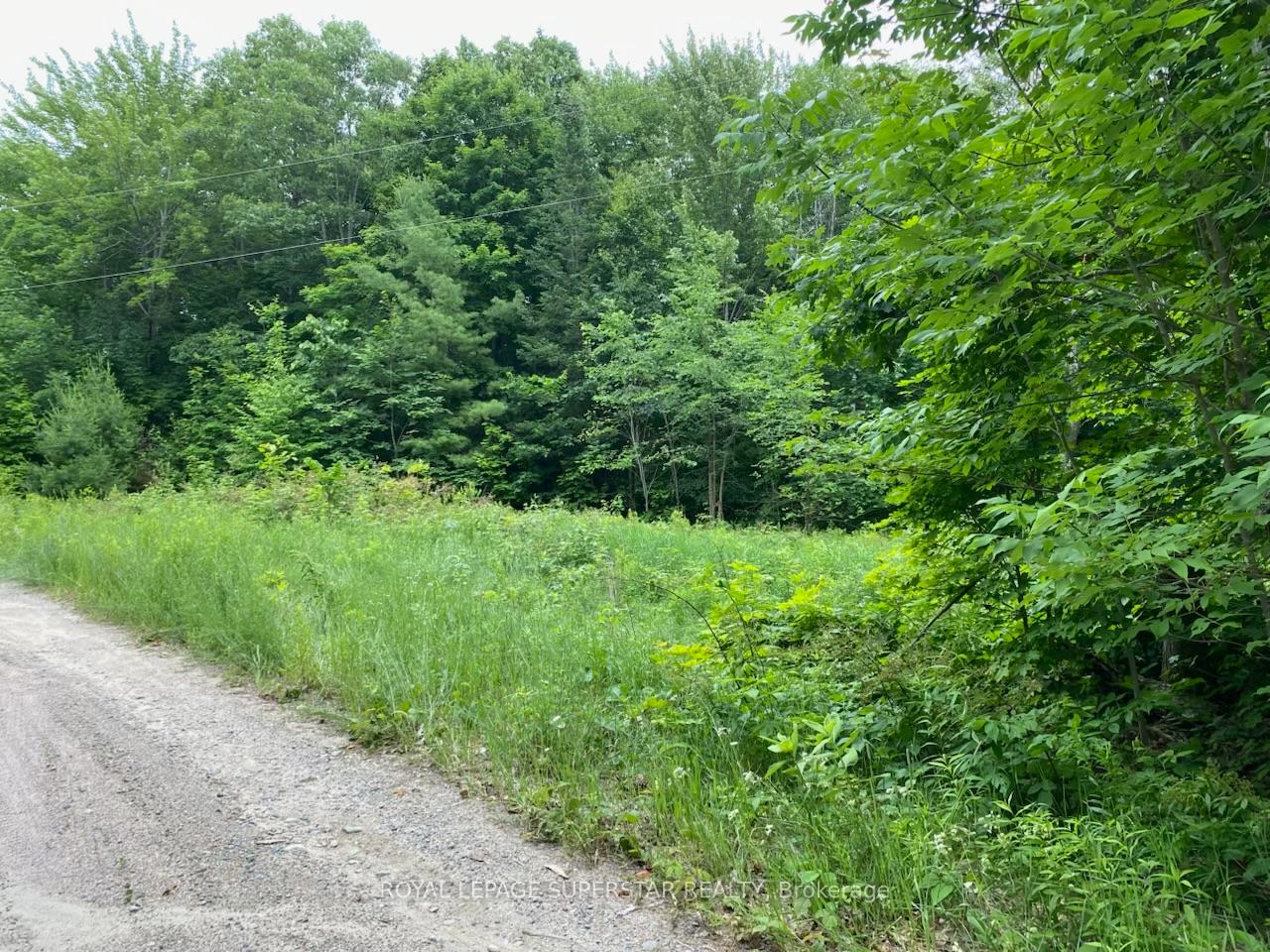 Photo 8 of Unit Lot # 1, 4232 Ardoch Road, Frontenac, Frontenac North — HOMEH