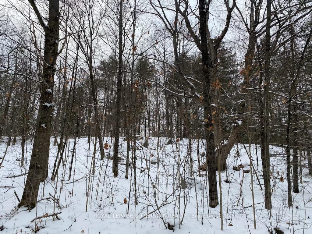 Photo 12 of Unit Lot # 1, 4232 Ardoch Road, Frontenac, Frontenac North — HOMEH