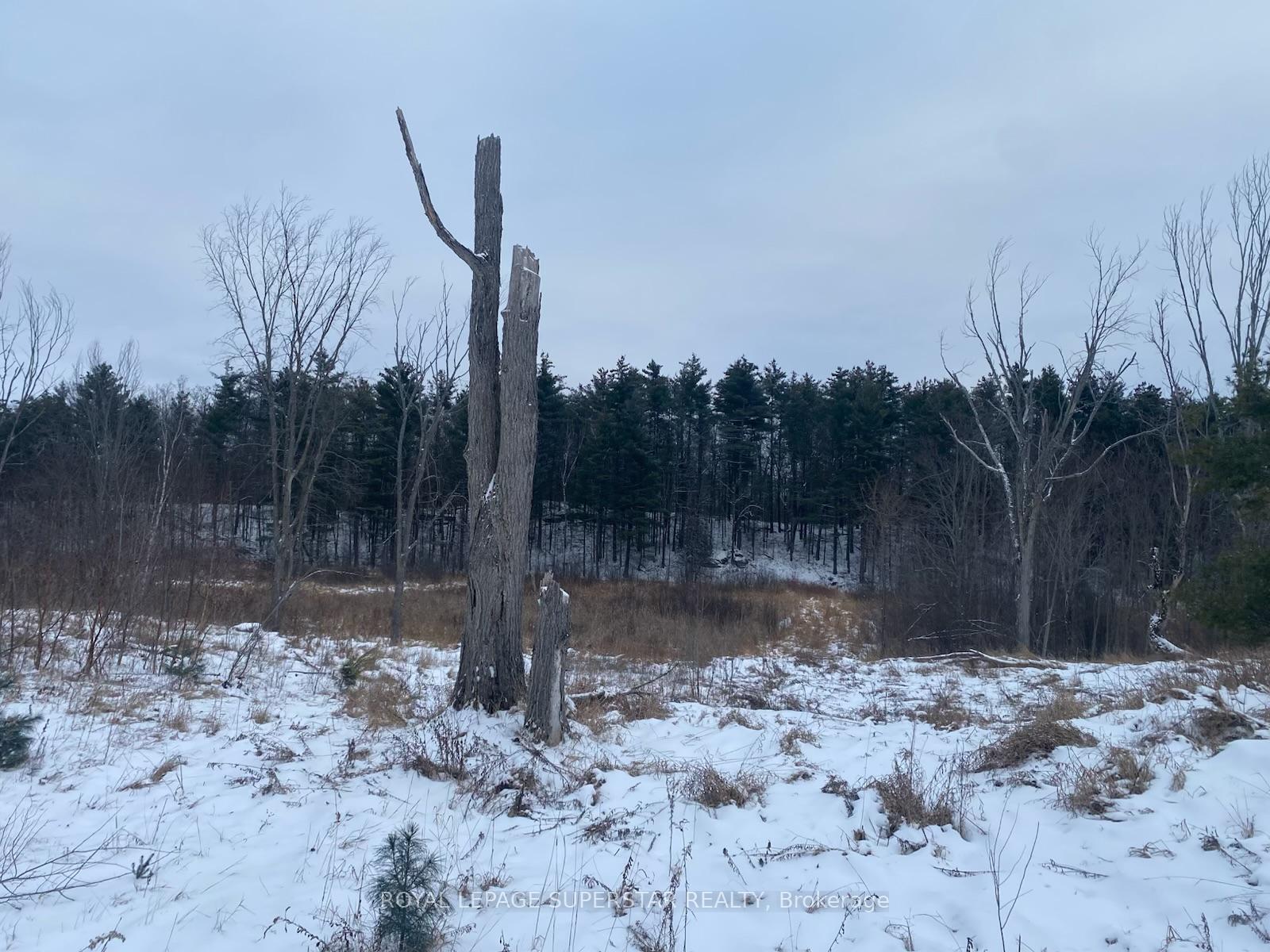 Photo 13 of Unit Lot # 1, 4232 Ardoch Road, Frontenac, Frontenac North — HOMEH