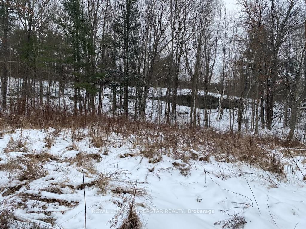 Photo 15 of Unit Lot # 1, 4232 Ardoch Road, Frontenac, Frontenac North — HOMEH