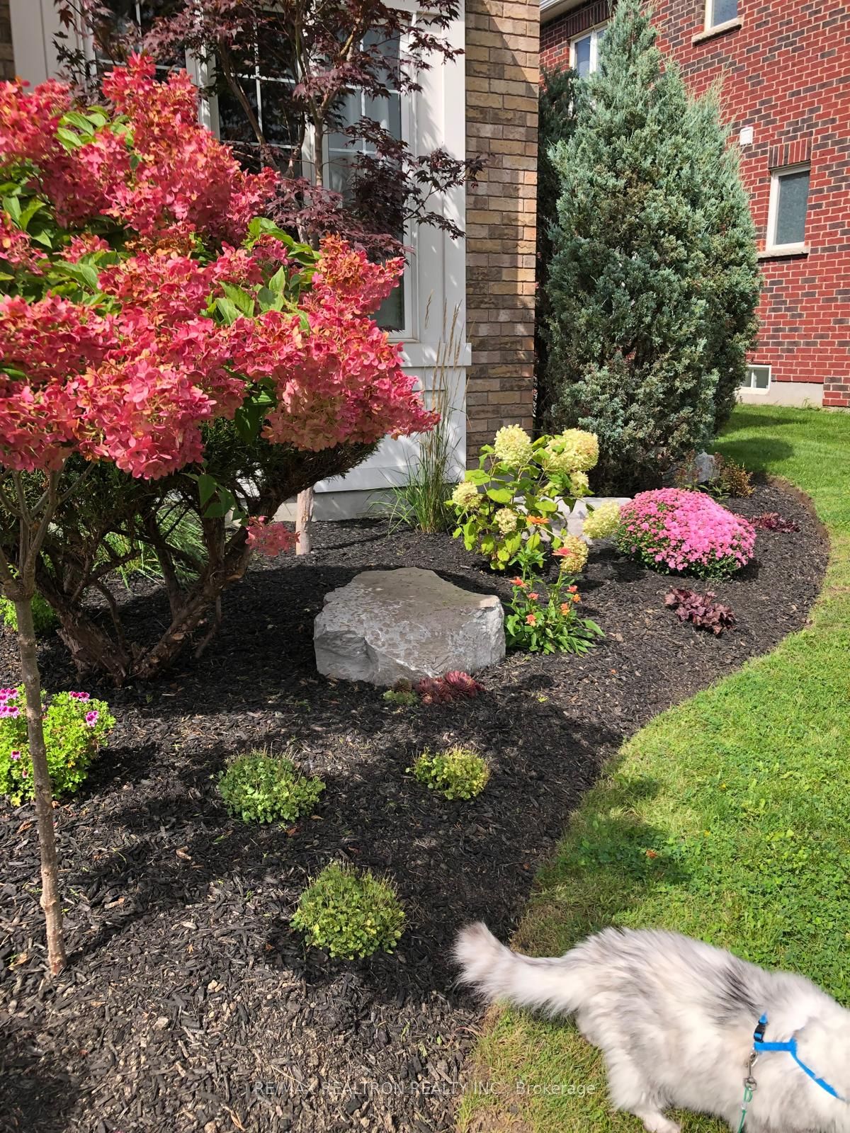 Photo 45 of 134 Dolman Street, Woolwich, Breslau — HOMEH