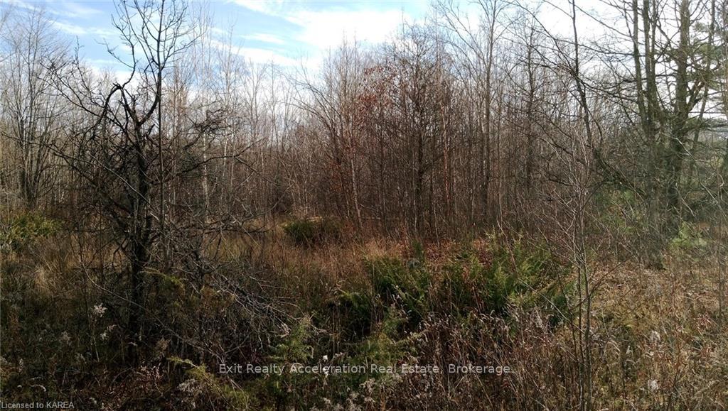 Photo 2 of PT LT 7 (PART 1) Tryon Road, Frontenac, Frontenac Centre — HOMEH