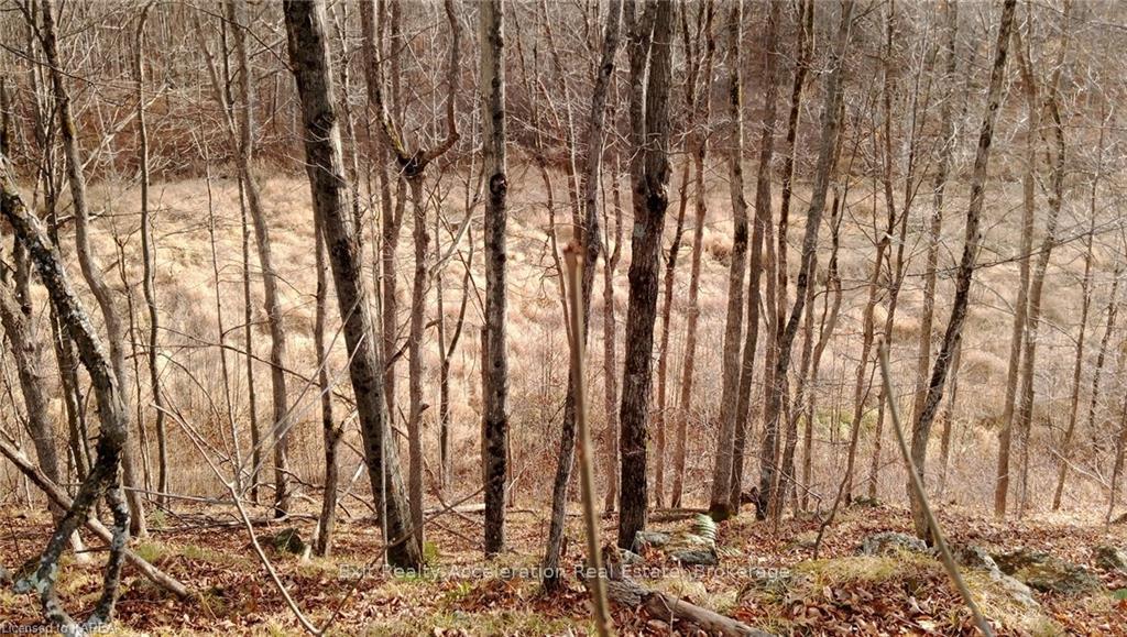 Photo 3 of PT LT 7 (PART 1) Tryon Road, Frontenac, Frontenac Centre — HOMEH