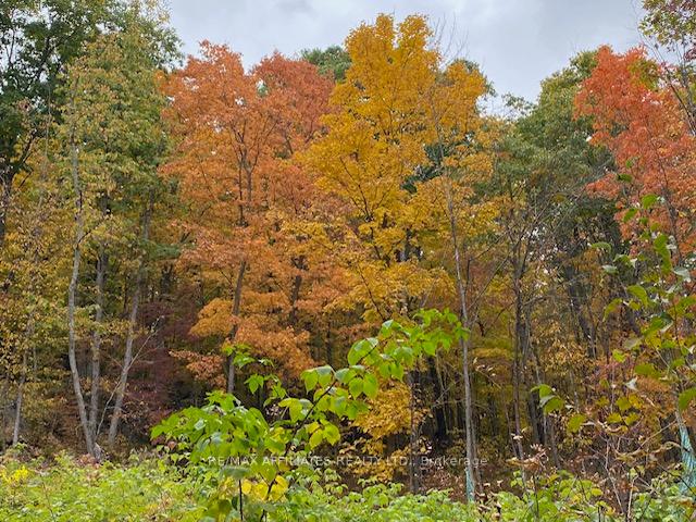 Photo 7 of 1357D Sunday Lake Drive, Frontenac, Frontenac North — HOMEH