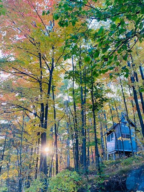 Photo 8 of 1357D Sunday Lake Drive, Frontenac, Frontenac North — HOMEH