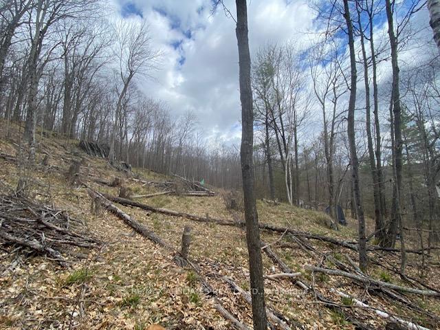 Photo 10 of 1357D Sunday Lake Drive, Frontenac, Frontenac North — HOMEH