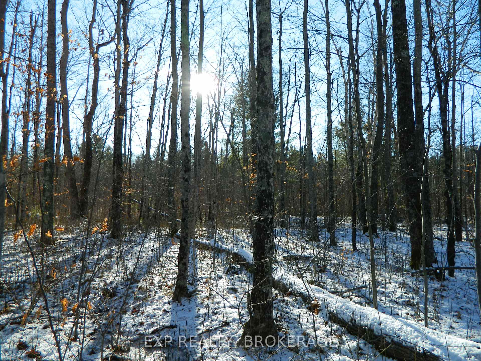 Photo 11 of 2248 Fifth Lake Road, Frontenac, Frontenac Centre — HOMEH