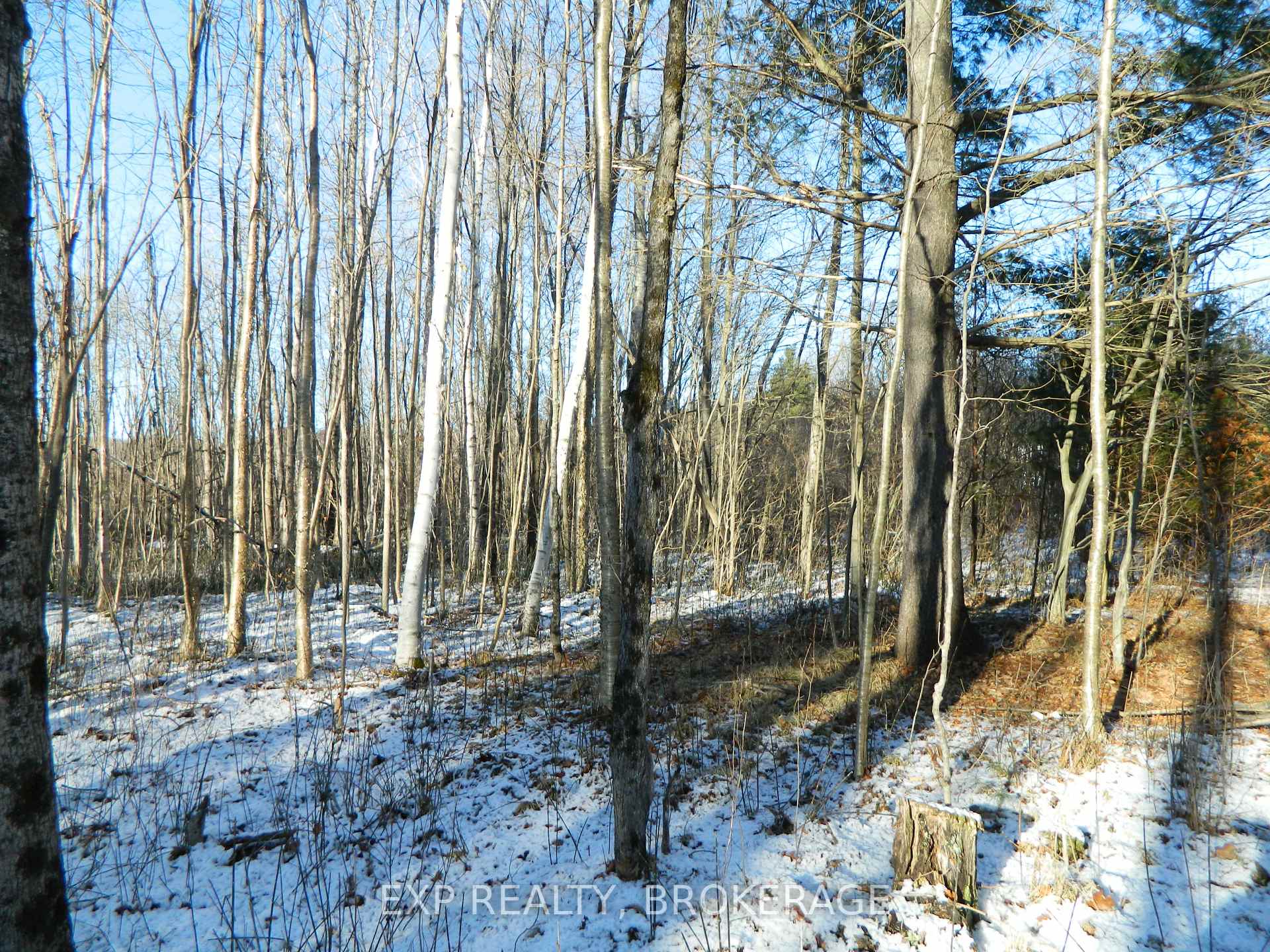 Photo 12 of 2248 Fifth Lake Road, Frontenac, Frontenac Centre — HOMEH