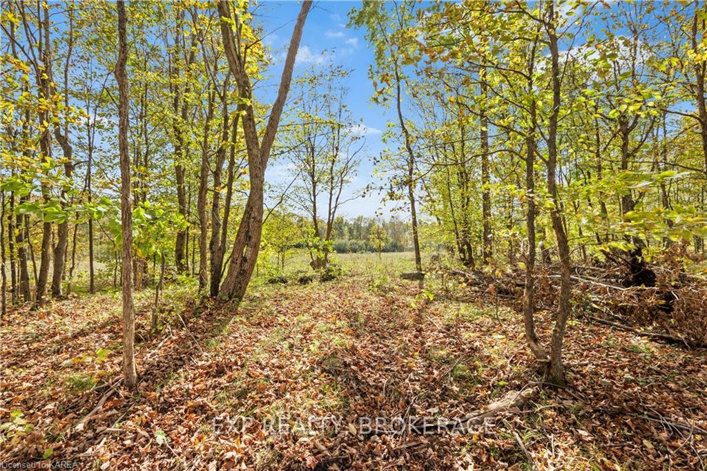 Photo 17 of 2248 Fifth Lake Road, Frontenac, Frontenac Centre — HOMEH