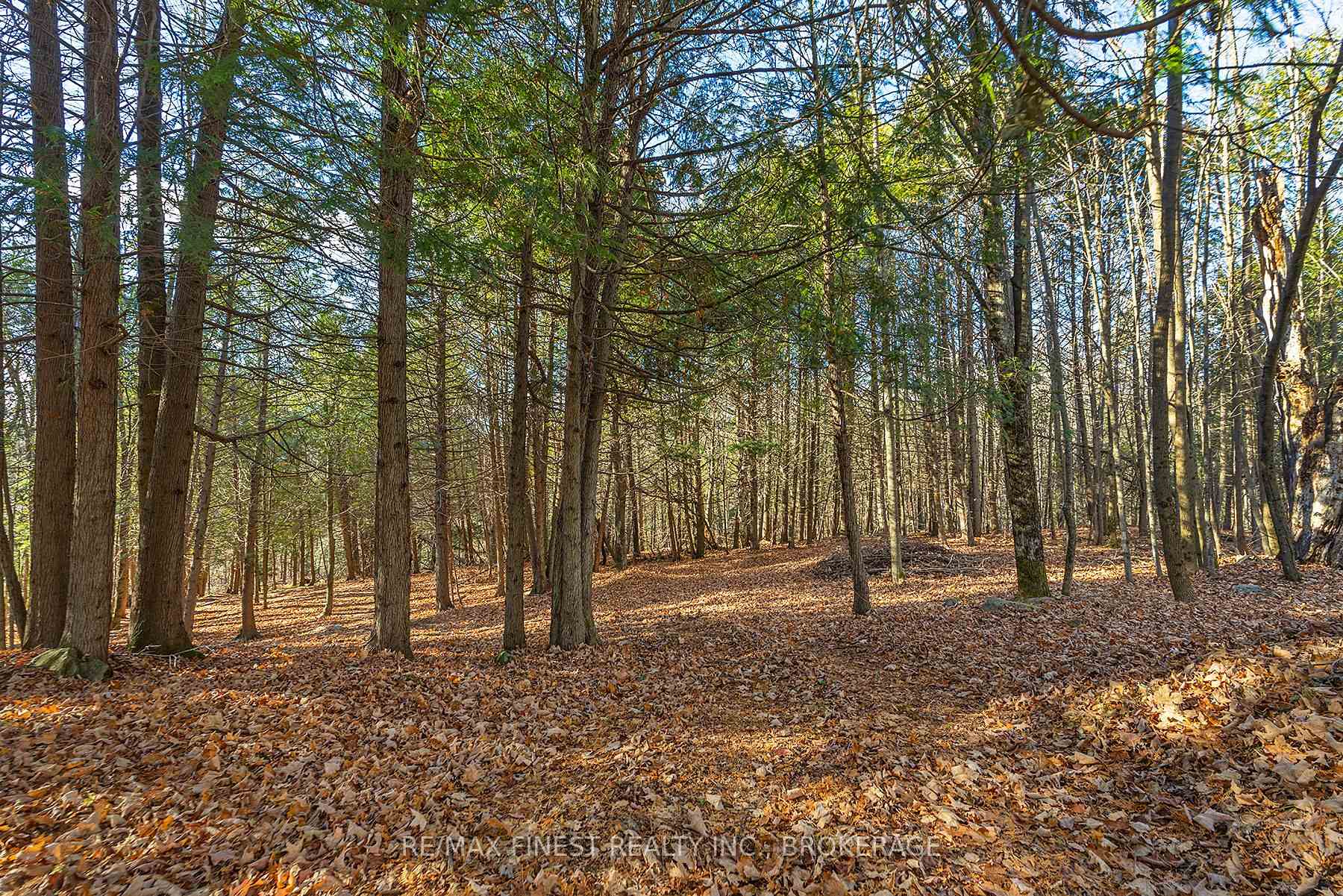 Photo 14 of 1107 Village Woods Drive, Frontenac, Frontenac Centre — HOMEH