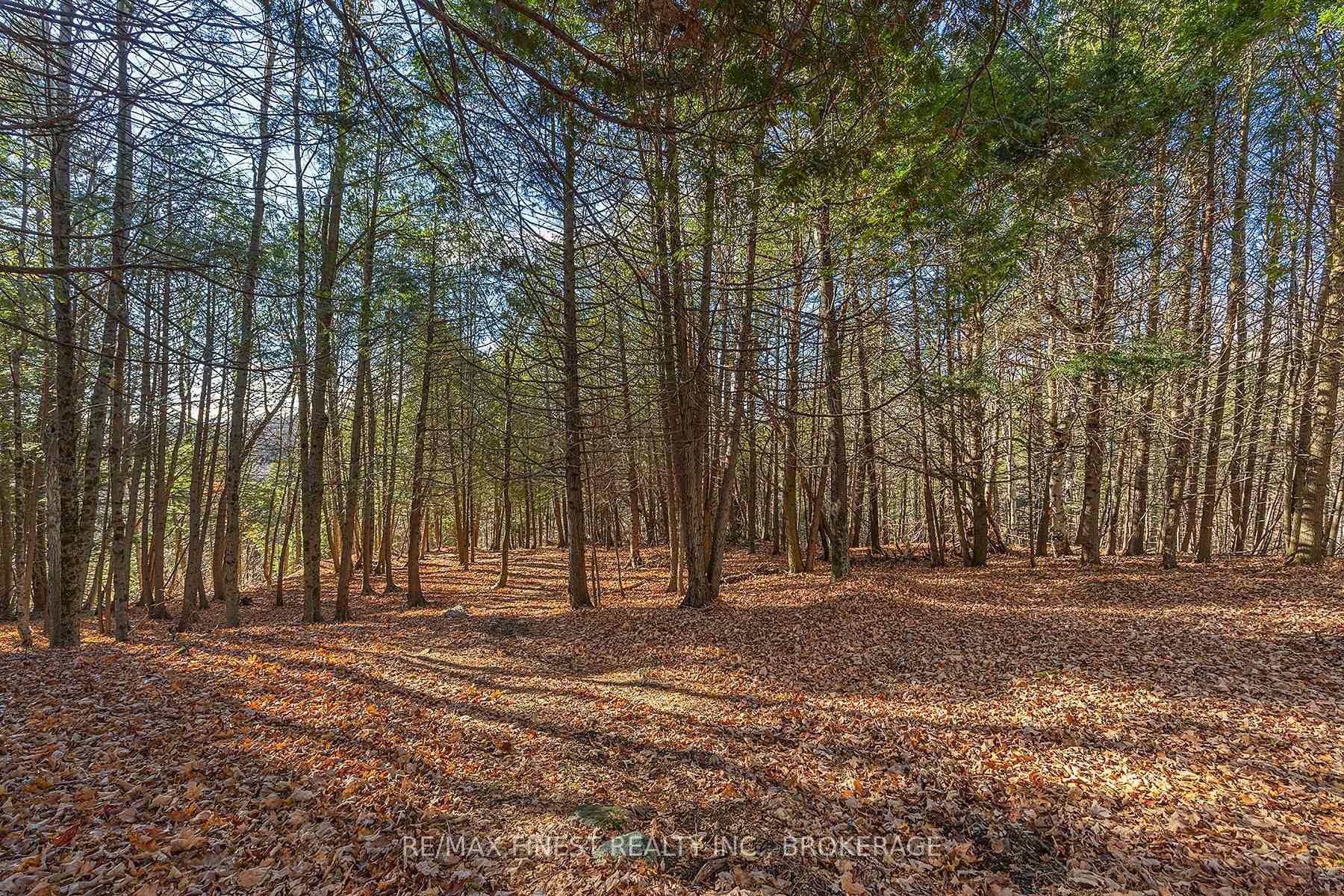 Photo 15 of 1107 Village Woods Drive, Frontenac, Frontenac Centre — HOMEH