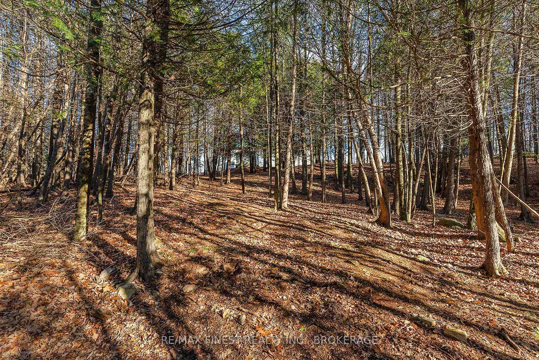 Photo 16 of 1107 Village Woods Drive, Frontenac, Frontenac Centre — HOMEH