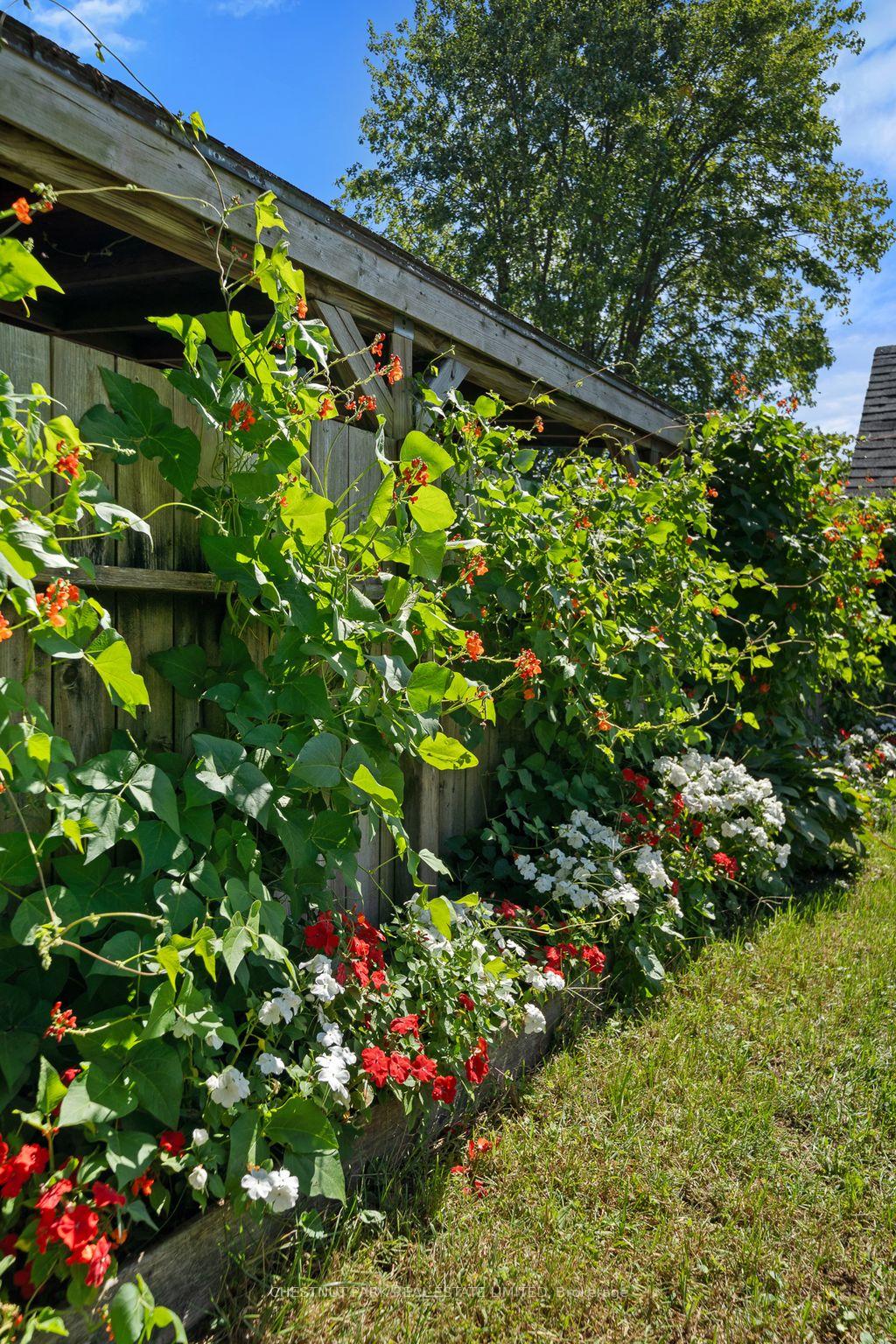 Photo 37 of 57 Grier Street, Belleville, Belleville Ward — HOMEH