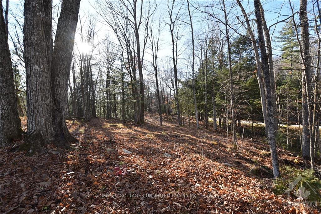 Photo 3 of 1205 South Road, Frontenac, Frontenac North — HOMEH