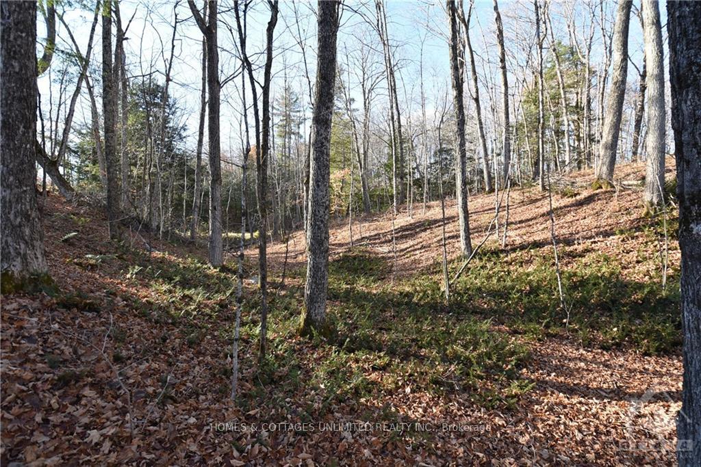 Photo 4 of 1205 South Road, Frontenac, Frontenac North — HOMEH