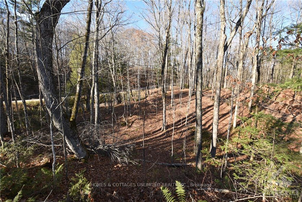 Photo 5 of 1205 South Road, Frontenac, Frontenac North — HOMEH