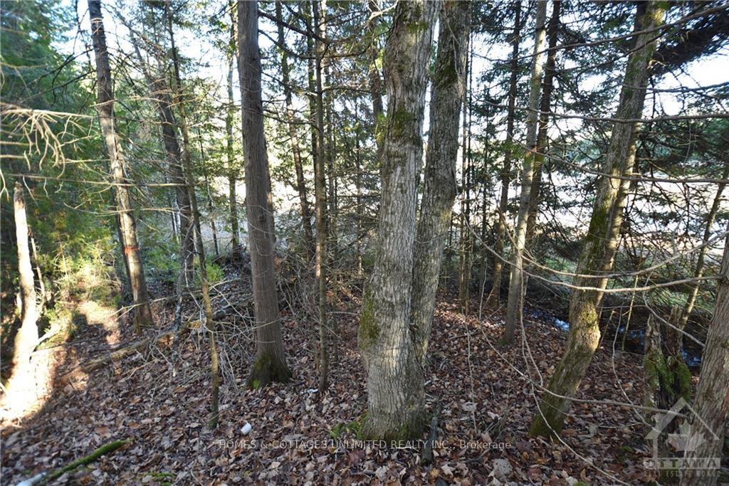 Photo 6 of 1205 South Road, Frontenac, Frontenac North — HOMEH