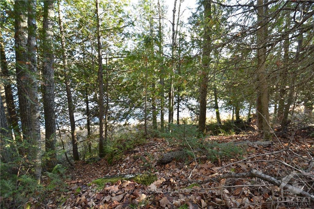Photo 7 of 1205 South Road, Frontenac, Frontenac North — HOMEH