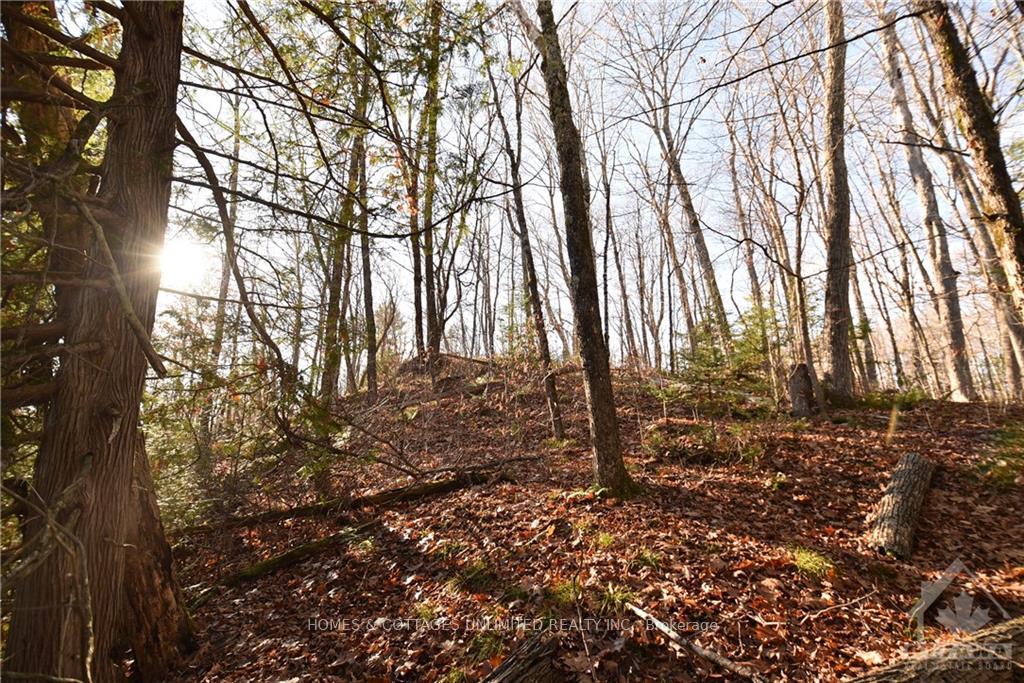 Photo 8 of 1205 South Road, Frontenac, Frontenac North — HOMEH