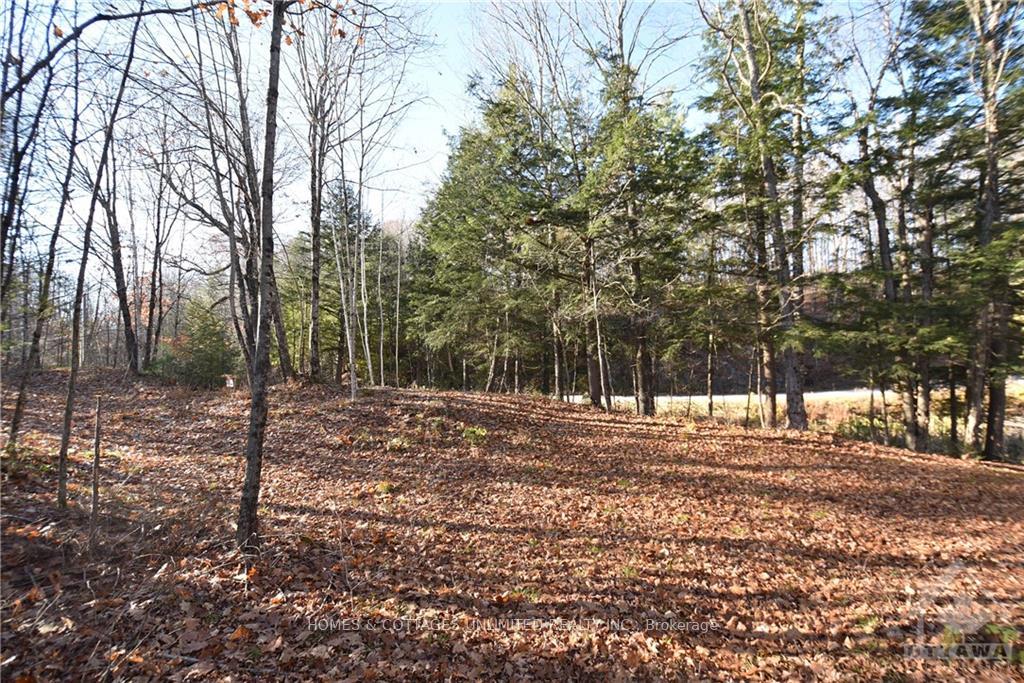 Photo 10 of 1205 South Road, Frontenac, Frontenac North — HOMEH