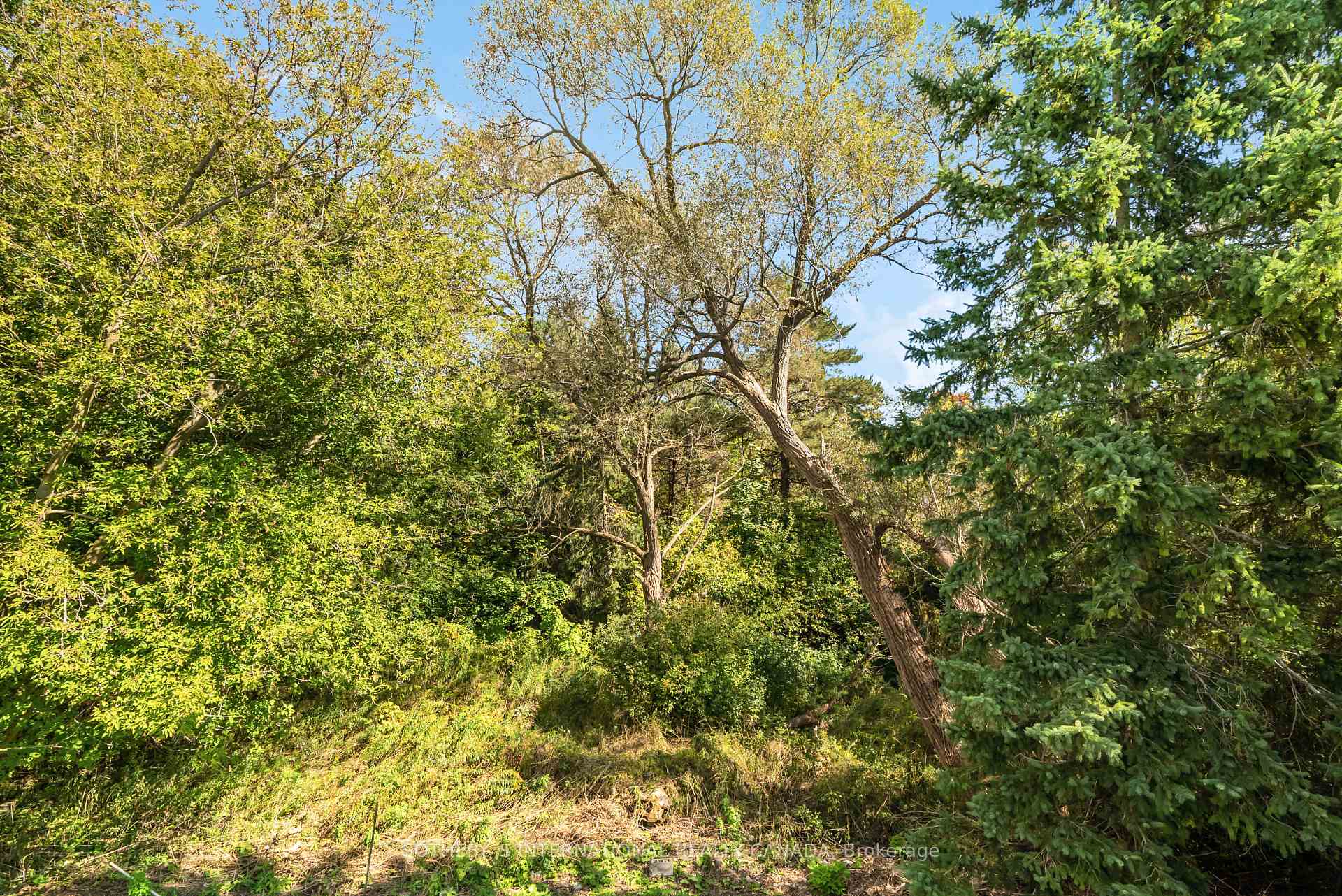 Photo 36 of 1241 Townline Road N, Clarington, Rural Clarington — HOMEH