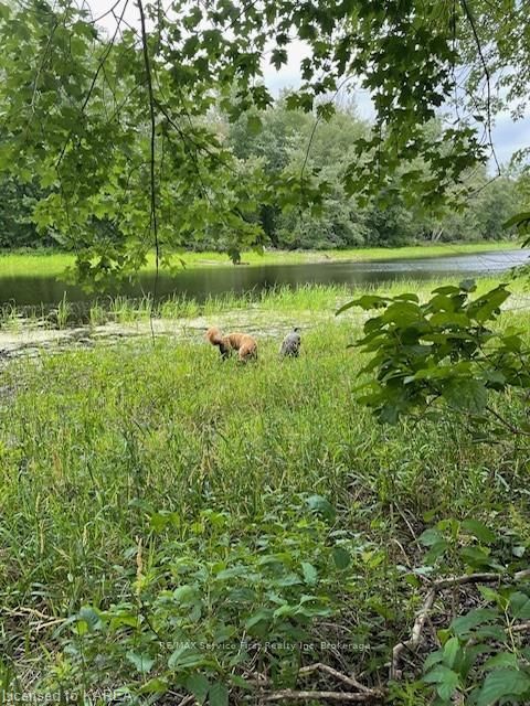 Photo 37 of 4902 Petworth Road, Frontenac, Frontenac South — HOMEH