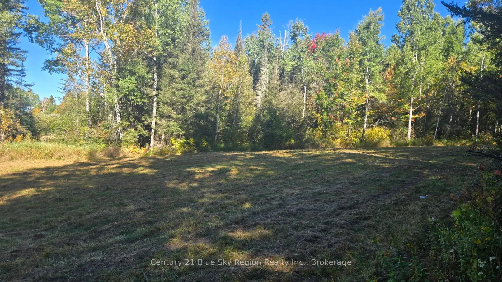 Photo 3 of Pt LT 1 CON 13 Trappers Road, Chisholm — HOMEH