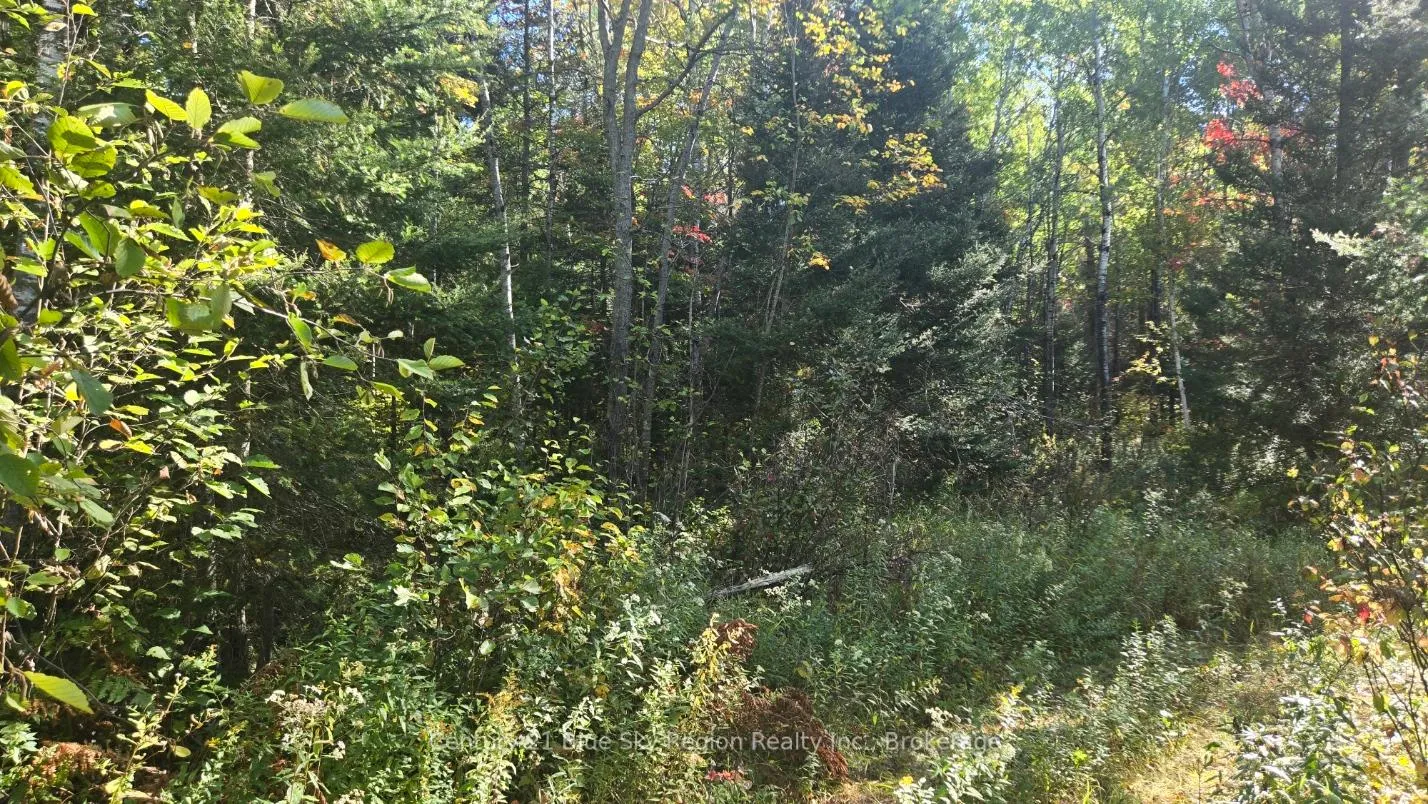 Photo 8 of Pt LT 1 CON 13 Trappers Road, Chisholm — HOMEH