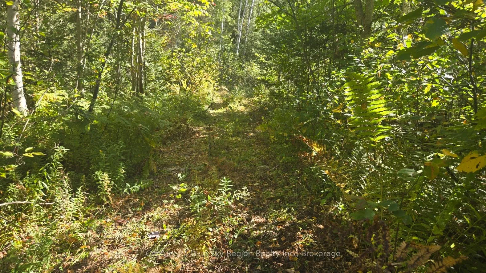 Photo 9 of Pt LT 1 CON 13 Trappers Road, Chisholm — HOMEH